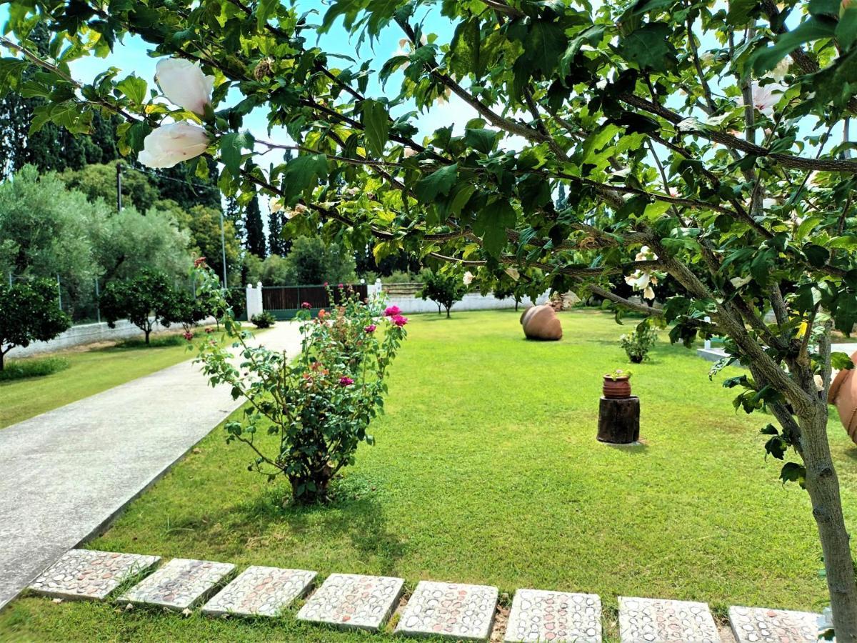 Zenia Pelion Garden House Villa Platanidia Exterior photo